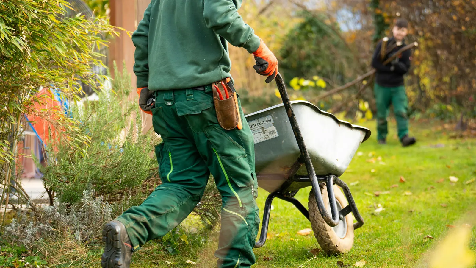 Landscaper moving wheelbarrow across lawn